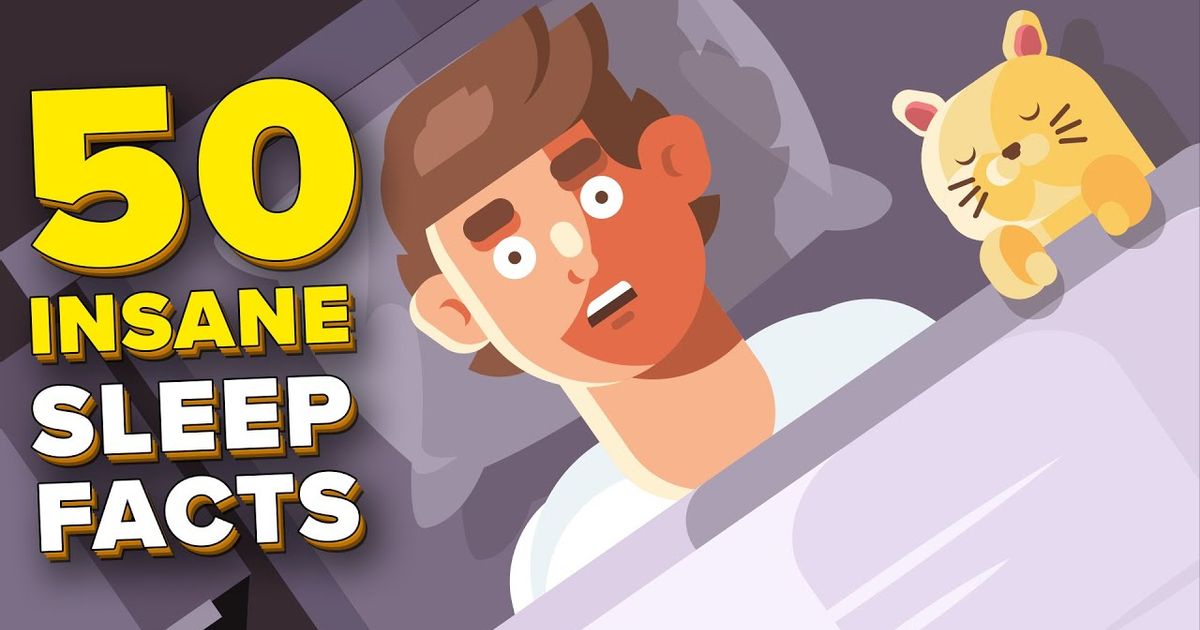 關於睡眠的50個你不知道的瘋狂事實 50 Insane Facts About Sleep You Didn T Know Voicetube 看影片學英語