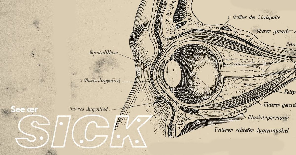 青光眼是如何導致視力下降的 How Does Glaucoma Cause Vision Loss Voicetube 看影片學英語