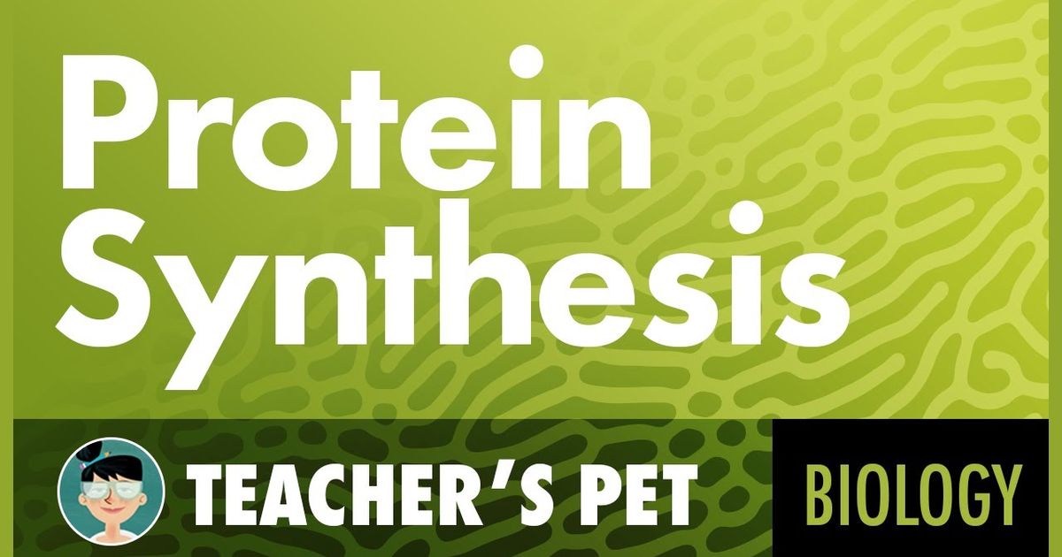 蛋白質的合成 Protein Synthesis Voicetube 看影片學英語