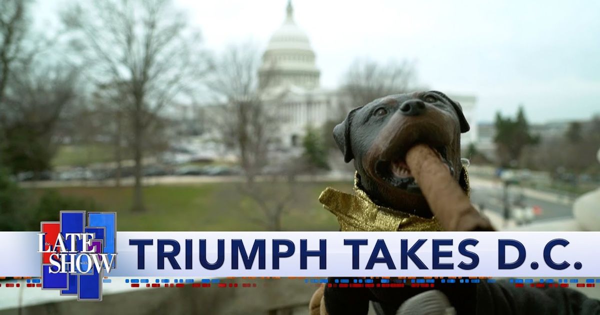 Triumph The Insult Comic Dog Goes To Washington To Cover Trump's