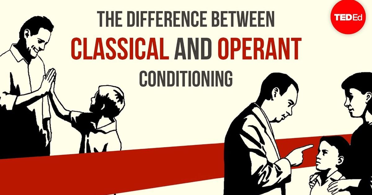 Ted Ed 古典的条件付けとオペラント条件付けの違い Peggy Andover Ted Ed The Difference Between Classical And Operant Conditioning Peggy Andover Voicetube 動画で英語を学ぶ