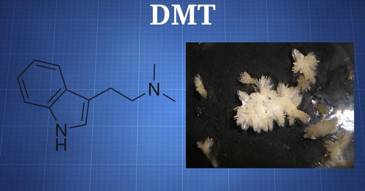 Dimethyltryptamine Dmt What You Need To Know Voicetube Learn English Through Videos 5551