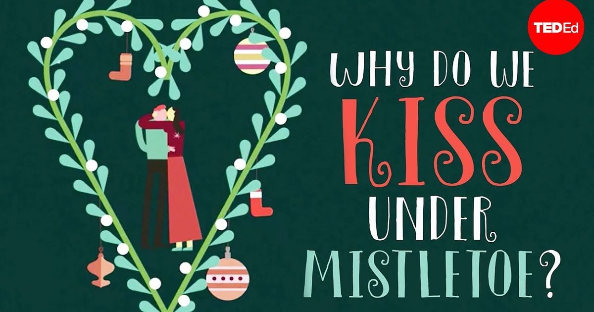 Ted Ed なぜヤドリギの下でキスをするのか カルロス レイフ Ted Ed Why Do We Kiss Under Mistletoe Carlos Reif Voicetube 動画で英語を学ぶ