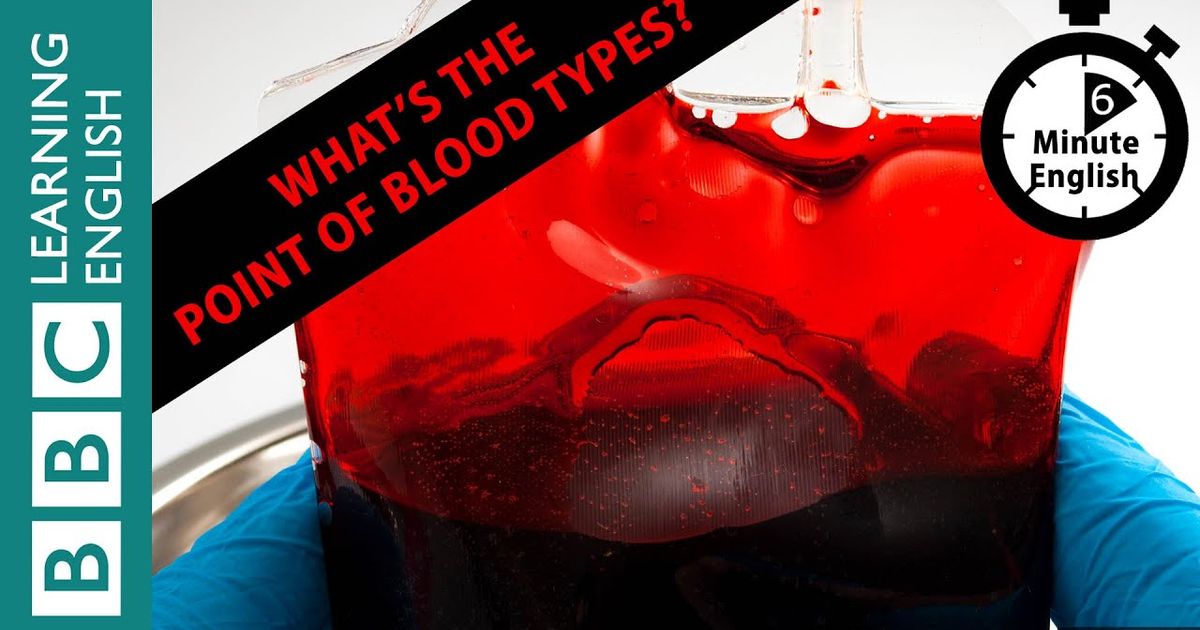 血液型の意味は 6分間の英語 What S The Point Of Blood Types 6 Minute English Voicetube 動画で英語を学ぶ