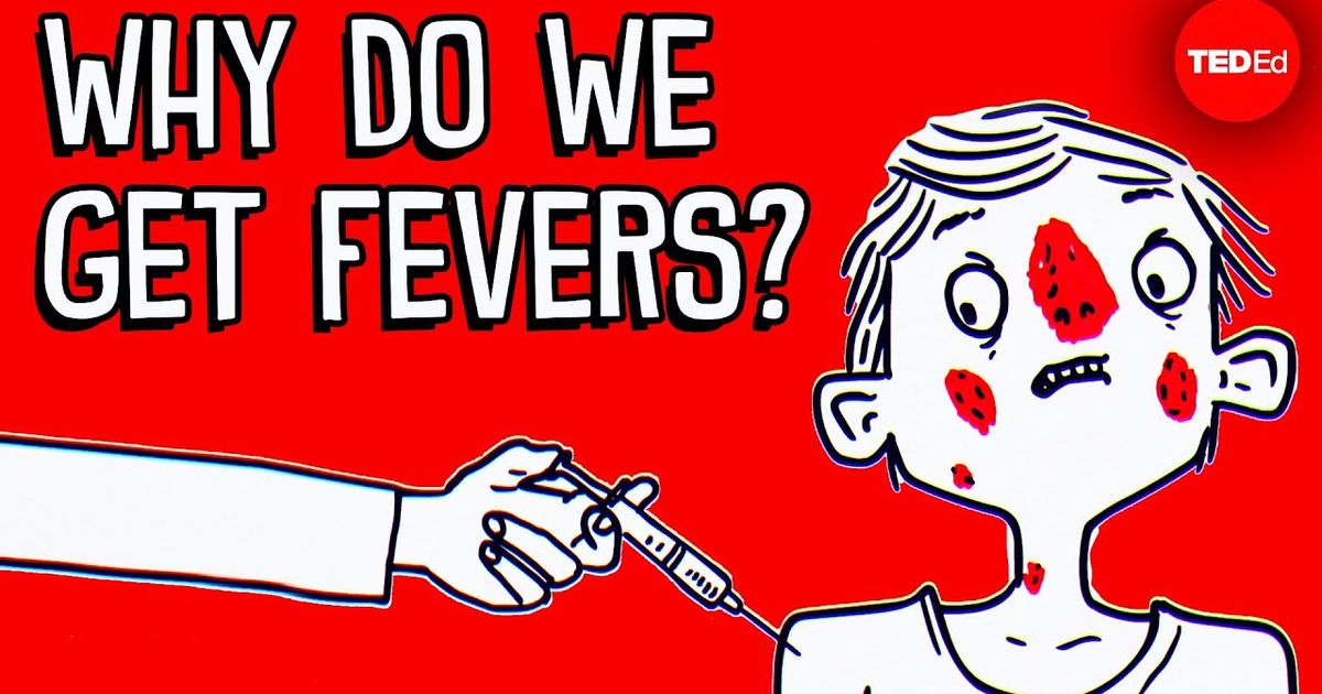 why-do-you-get-a-fever-when-you-re-sick-christian