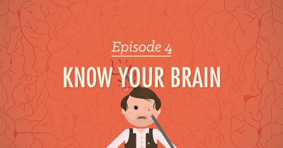  Meet Your Master Getting To Know Your Brain Crash Course Psychology 4 