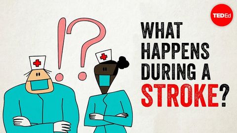 【TED-Ed】中風是怎麼回事？ (What happens during a stroke? - Vaibhav Goswami)