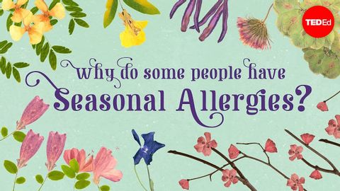 【TED-Ed】なぜ季節性アレルギーの人がいるのか（Why do some people have seasonal allergies? - Eleanor Nelsen）