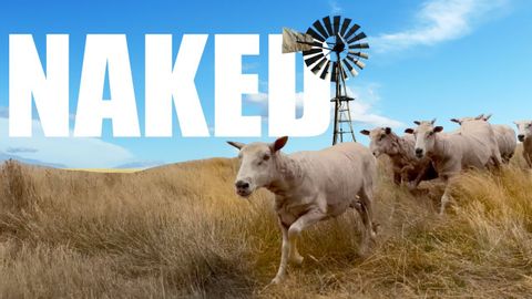 オーストラリアの牧場の毛刈りシーズン (Shearing Season on an Australian Sheep Farm)