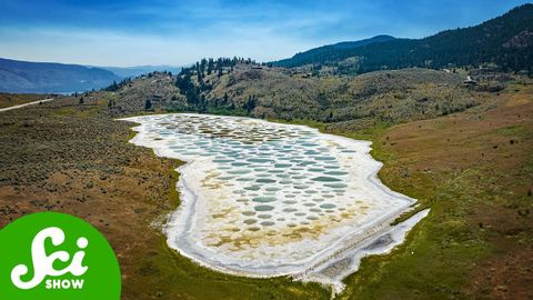 This Canadian Lake Changes Its Spots Every Year