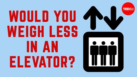 【TED-Ed】Would you weigh less in an elevator? - Carol Hedden