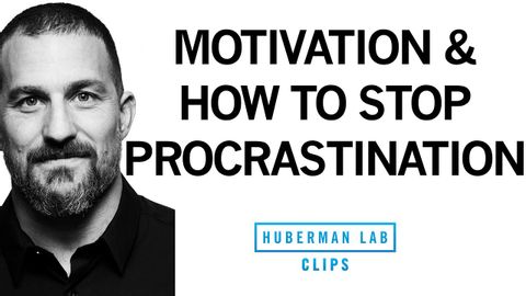 先延ばしをやめてやる気を高める方法｜アンドリュー・ヒューバーマン博士 (How to Stop Procrastination & Increase Motivation | Dr. Andrew Huberman)