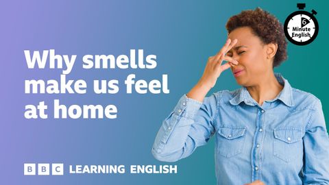 Why smells make us feel at home ⏲️ 6 Minute English