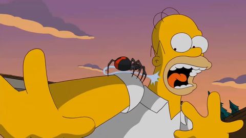 ザ・シンプソンズ - ホーマーはクモに変身する (The Simpsons - Homer will turn into a spider)