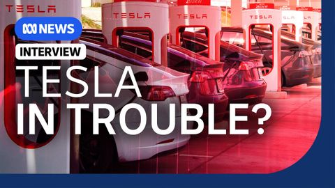 Tesla's sales plummet, and why Elon Musk is partly to blame | The Business | ABC News