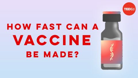 How fast can a vaccine be made? - Dan Kwartler