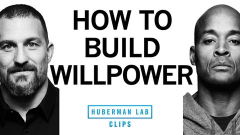 意志力の鍛え方｜デイヴィッド・ゴギンズ＆アンドリュー・ヒューバーマン博士 (How to Build Willpower | David Goggins & Dr. Andrew Huberman)