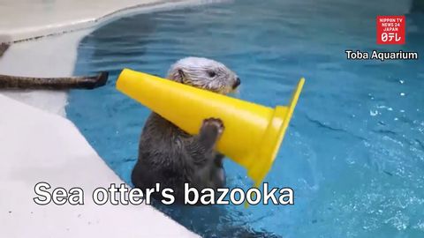 海獺的火箭筒 (Sea otter's bazooka)