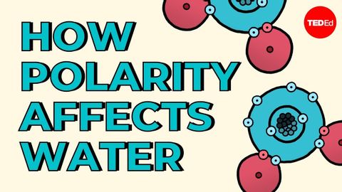 【TED-Ed】How polarity makes water behave strangely - Christina Kleinberg