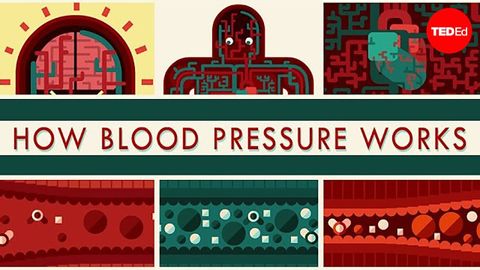 【TED-Ed】How blood pressure works - Wilfred Manzano