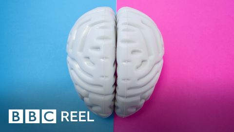 Are male and female brains different? - BBC REEL