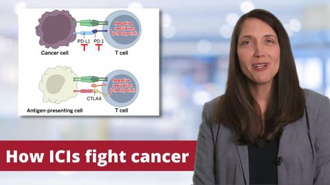 Cancer Immune Checkpoint Inhibitors