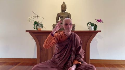 比丘阿那律 | 體悟心性 | 2020 年 4 月 (Bhikkhu Anālayo | An embodied mindfulness | April 2020)