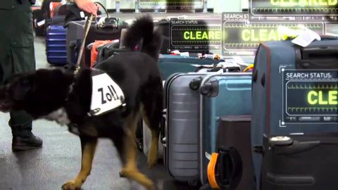 X-Ray 巨型機場：緝毒犬 (X-Ray Mega Airport: Drug Sniffing Dog)