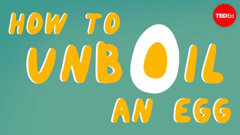 【TED-Ed】How to unboil an egg - Eleanor Nelsen