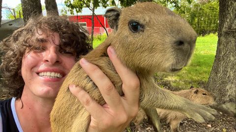 我找到了另一個......（卡巴巴拉複製故障） (I Found Another One… (Capybara Duplication Glitch))