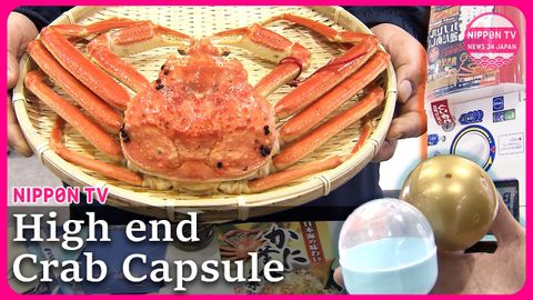 扭玩具已經過時了！日本扭蛋居然可以扭「上等螃蟹」！ (Capsule toy vending machine starts selling high-end crabs)