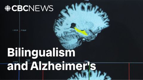 There's no cure for Alzheimer's. But could speaking 2 languages help?