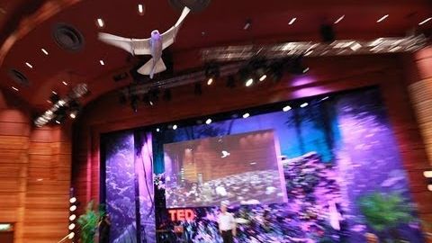 【TED】Markus Fischer: A robot that flies like a bird (A robot that flies like a bird | Markus Fischer)