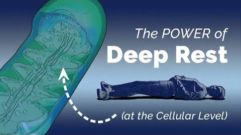 The Power of Deep Rest