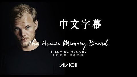 Avicii 艾維奇 - SOS 求救訊號【中文字幕】