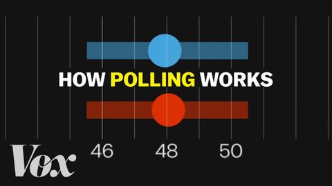 【2024美國大選】大選在即，民意調查能告訴我們什麼？ (What polls can actually tell us)