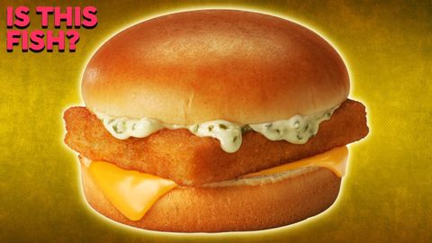 麥當勞的「麥香魚」用的真的是魚嗎？ (Is the Filet-O-Fish Actually Fish?)