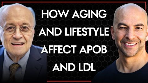 How aging and lifestyle factors contribute to rising ApoB and LDL cholesterol levels