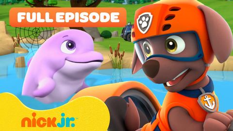 PAW Patrol Pups Pups Save a Dolphin Pup! w/ Zuma ? FULL EPISODE | Nick Jr.