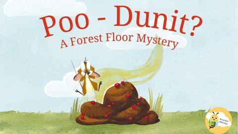 Kids Books read Aloud - ?A Funny Forest Mystery Read Aloud!