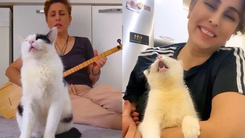 Cat HATES It When Mom Sings The Wrong Song ?