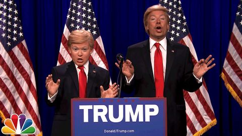 ドナルド・トランプとリトル・ドナルド（8年生の印象派） (Donald Trump and Little Donald (8th Grade Impressionist))