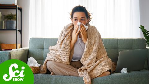 インフルエンザがアルツハイマーを引き起こす可能性 (The Flu May Cause Alzheimer's)