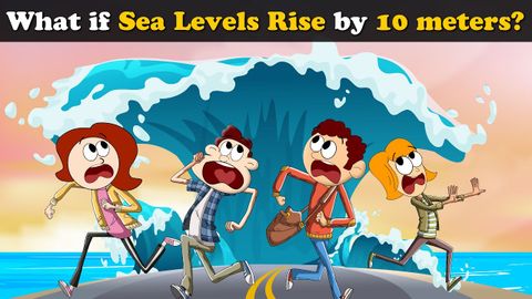 What if Sea Levels rise by 10 meters? + more videos | #aumsum #kids #science #education #whatif