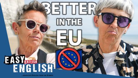 Do BRITS MISS the EUROPEAN UNION? | Easy English 177