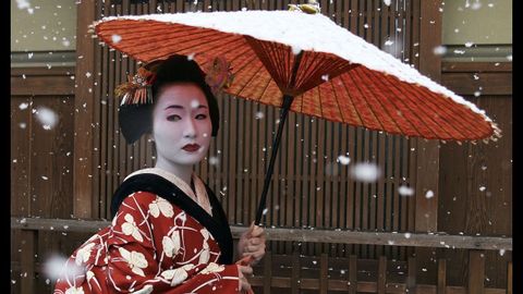 芸者の秘密の世界 (The Secret World Of Geishas)