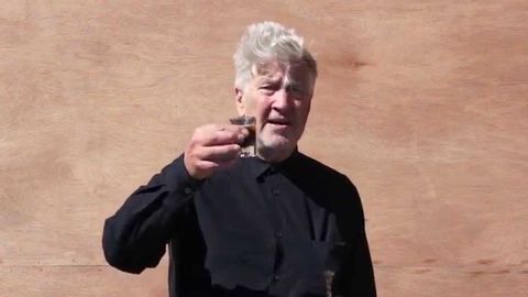 David Lynch - Ice Bucket Challenge for ALS