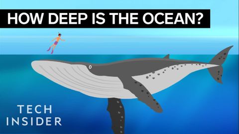 この信じられないアニメーションは、海の深さを示している。 (This Incredible Animation Shows How Deep The Ocean Really Is)