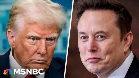 Employee or the boss? More Republicans 'nervous' about Trump's 'hatchet man' Musk