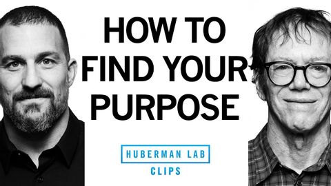 目的の見つけ方｜ロバート・グリーン＆アンドリュー・ヒューバーマン博士 (How to Find Your Purpose | Robert Greene & Dr. Andrew Huberman)